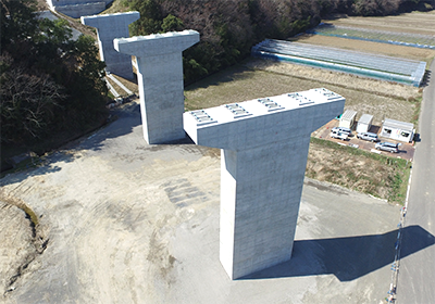 30国補地道第30-03-646-0-004号　橋梁下部工事(仮称 第3号橋)(その2)